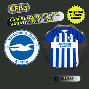 camiseta replica Brighton & Hove Albion